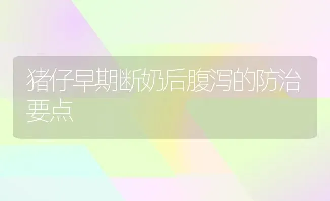 猪仔早期断奶后腹泻的防治要点 | 家畜养殖