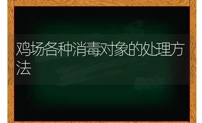 鸡场各种消毒对象的处理方法 | 家禽养殖