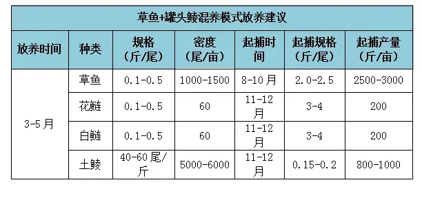 明年的草鱼要这样养：草鱼+罐头鲮混养模式