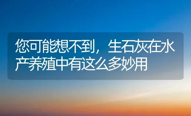 您可能想不到，生石灰在水产养殖中有这么多妙用 | 养殖病虫害防治