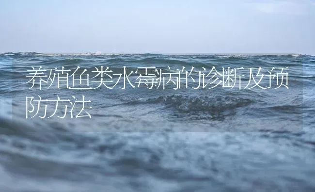 养殖鱼类水霉病的诊断及预防方法 | 养殖病虫害防治