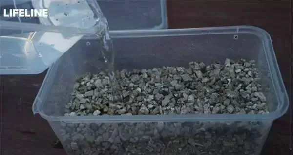 如何用LIFELINE孵化箱挑战高孵化要求的龟苗？