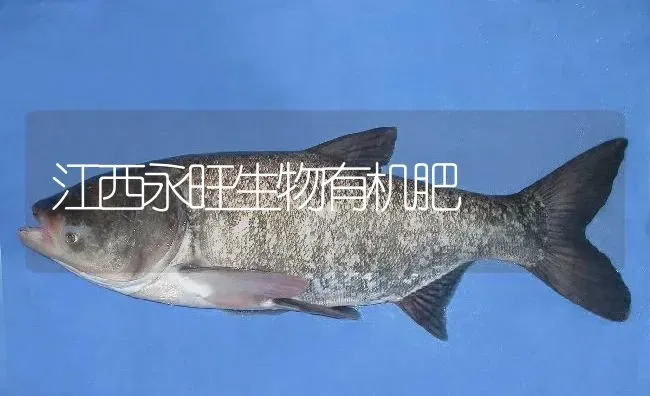 江西永旺生物有机肥 | 淡水养殖