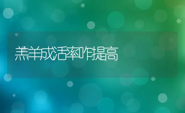 羔羊成活率咋提高 | 家畜养殖