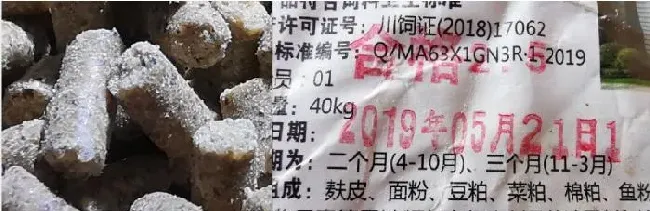 草鱼反复发病，病因是什么？