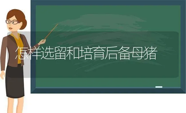 怎样选留和培育后备母猪 | 家畜养殖