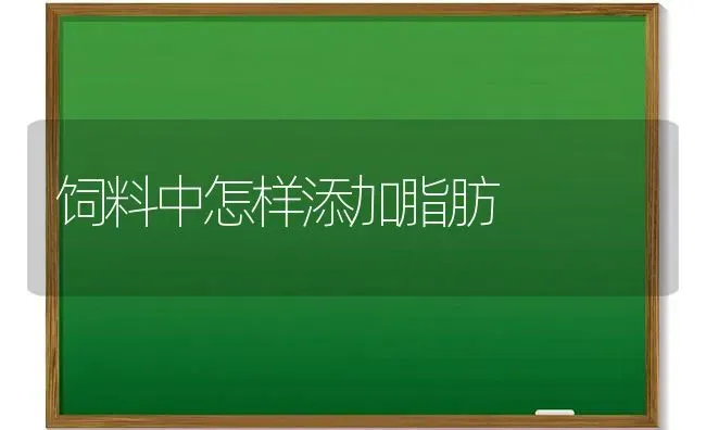 饲料中怎样添加脂肪 | 动物养殖饲料