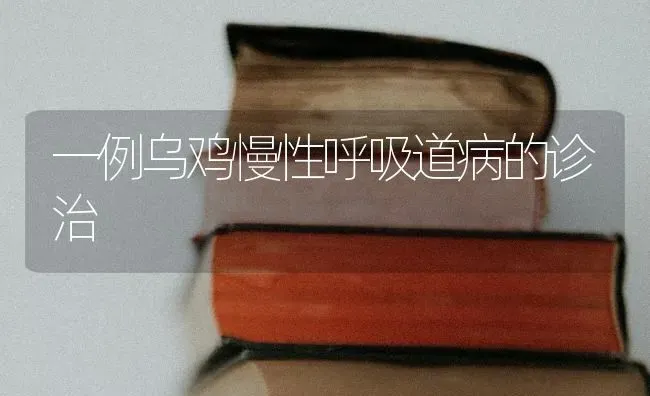 一例乌鸡慢性呼吸道病的诊治 | 家禽养殖