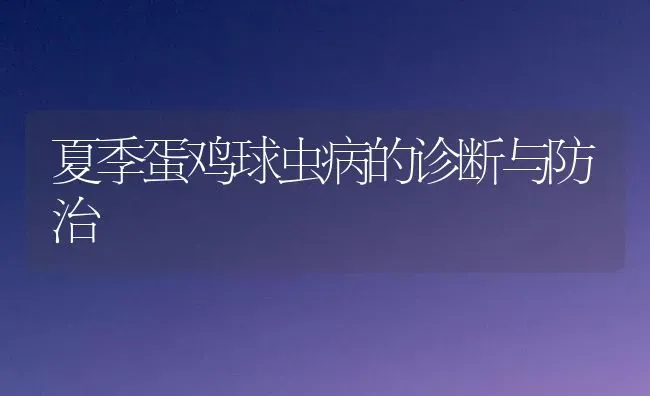 夏季蛋鸡球虫病的诊断与防治 | 家禽养殖