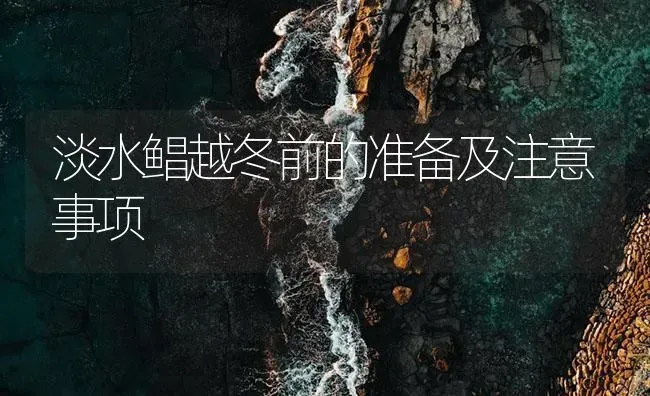 淡水鲳越冬前的准备及注意事项 | 海水养殖