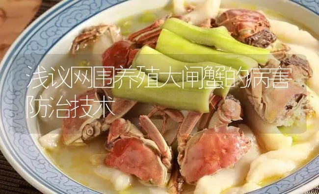 浅议网围养殖大闸蟹的病害防治技术 | 淡水养殖