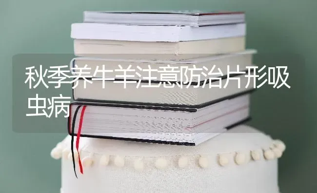 秋季养牛羊注意防治片形吸虫病 | 家畜养殖