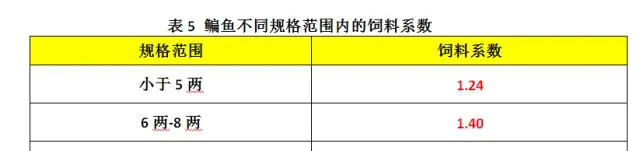 湖北仙桃五湖渔场鳊鱼大面积打样效果展示