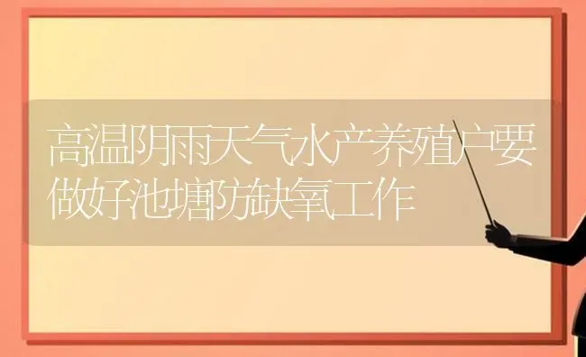 高温阴雨天气水产养殖户要做好池塘防缺氧工作 | 动物养殖百科