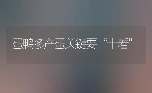 蛋鸭多产蛋关键要“十看” | 家禽养殖