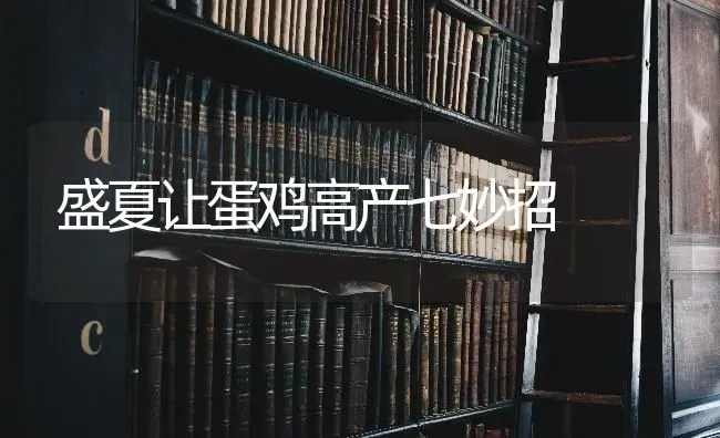 盛夏让蛋鸡高产七妙招 | 家禽养殖