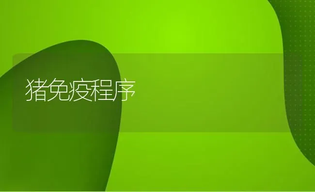 猪免疫程序 | 家畜养殖