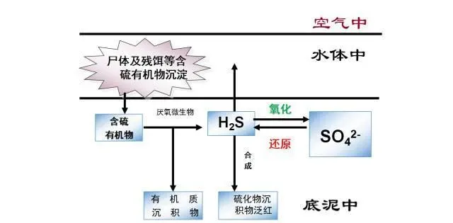 池塘底质如何物质循环，提倡科学改底？