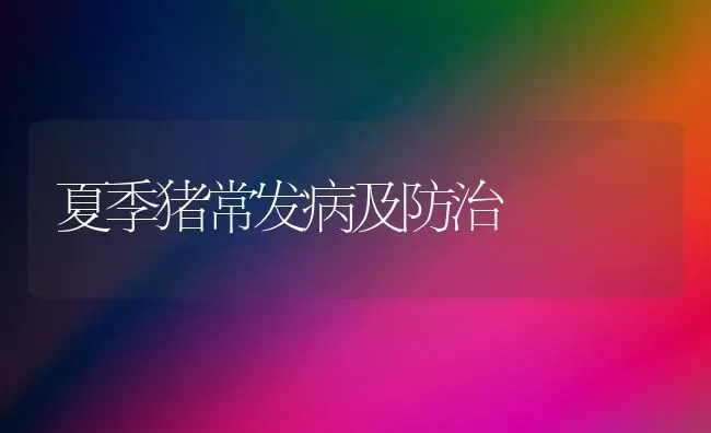 夏季猪常发病及防治 | 家畜养殖