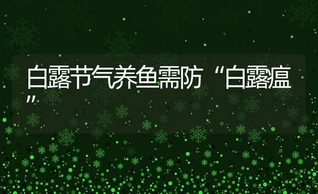 白露节气养鱼需防“白露瘟” | 淡水养殖