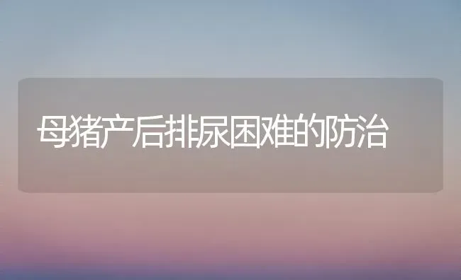 母猪产后排尿困难的防治 | 家畜养殖