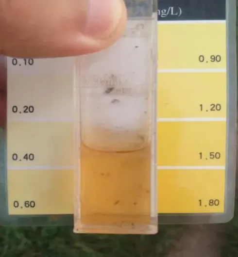 氨氮4.5的池塘里白鲢鱼中毒死亡，还有的救吗？