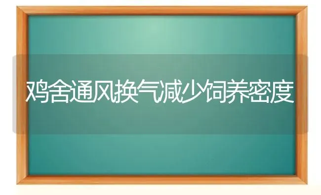 鸡舍通风换气减少饲养密度 | 家禽养殖