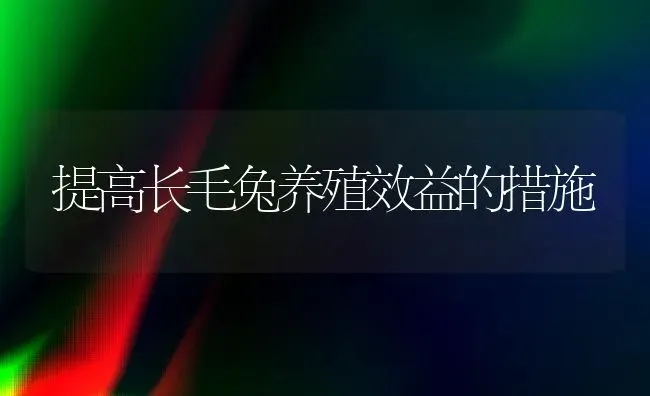 提高长毛兔养殖效益的措施 | 家畜养殖