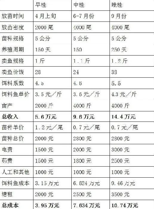 广东地区鳜鱼成鱼养殖模式介绍及效益分析