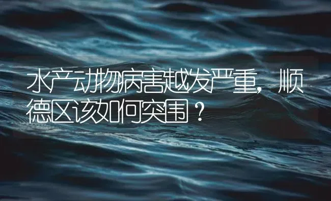 水产动物病害越发严重，顺德区该如何突围？ | 养殖病虫害防治