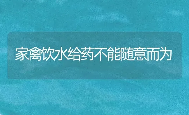 家禽饮水给药不能随意而为 | 养殖病虫害防治