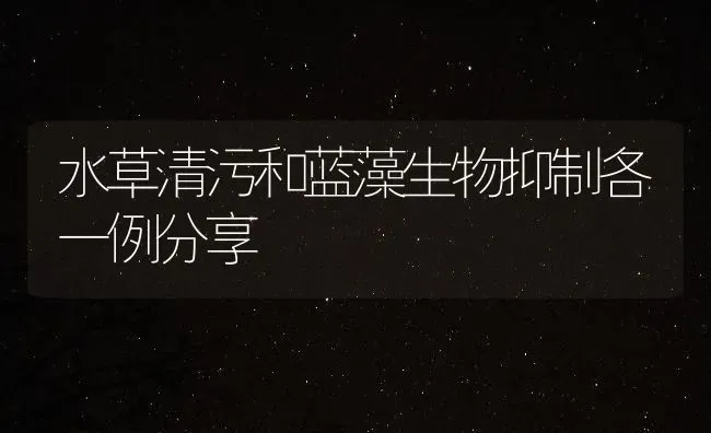 水草清污和蓝藻生物抑制各一例分享 | 动物养殖百科