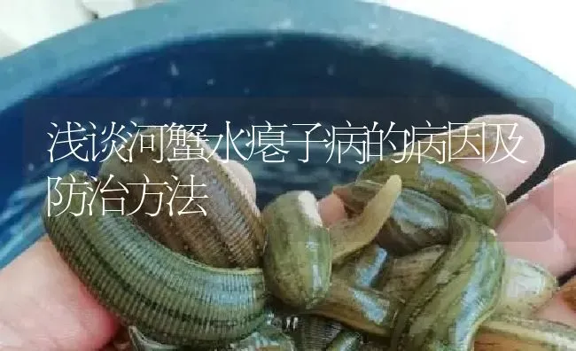 浅谈河蟹水瘪子病的病因及防治方法 | 特种养殖