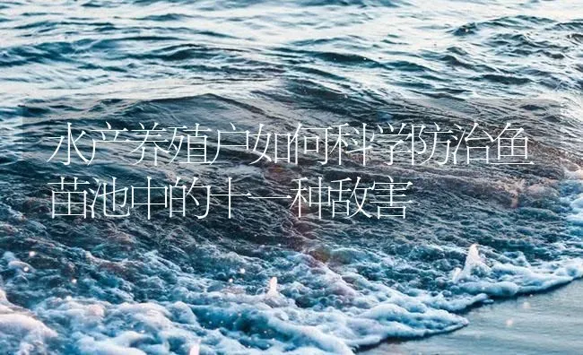水产养殖户如何科学防治鱼苗池中的十一种敌害 | 养殖病虫害防治