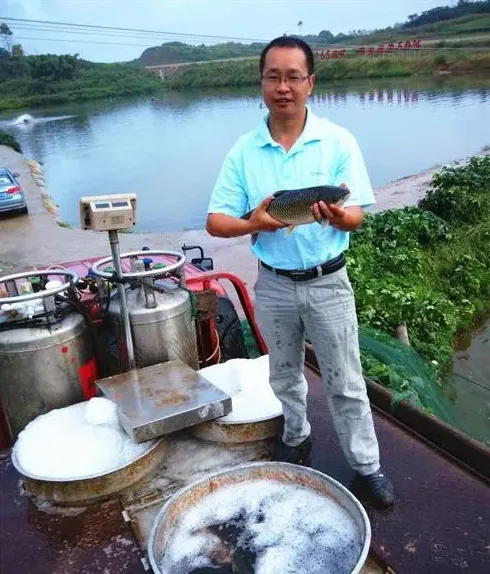 养殖池塘投饵区与非投饵区溶氧规律