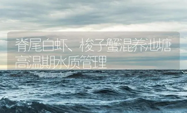 脊尾白虾、梭子蟹混养池塘高温期水质管理 | 海水养殖