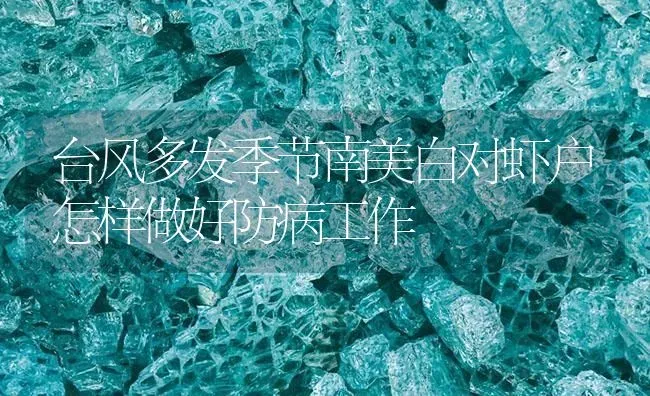 台风多发季节南美白对虾户怎样做好防病工作 | 海水养殖