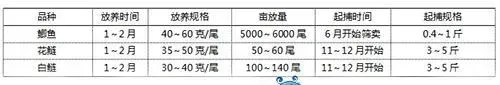 鲫鱼饲料选择及投喂管理技巧