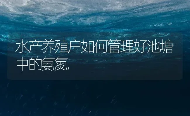 水产养殖户如何管理好池塘中的氨氮 | 动物养殖百科