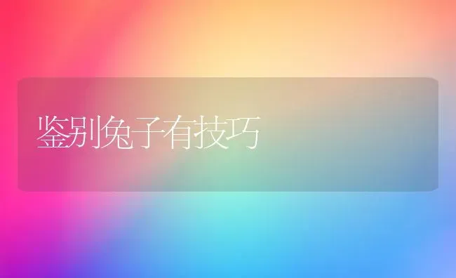 鉴别兔子有技巧 | 家畜养殖