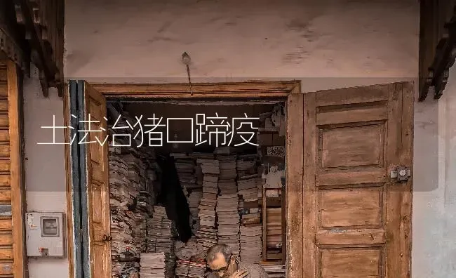 土法治猪口蹄疫 | 家畜养殖