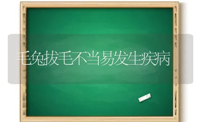 毛兔拔毛不当易发生疾病 | 家畜养殖