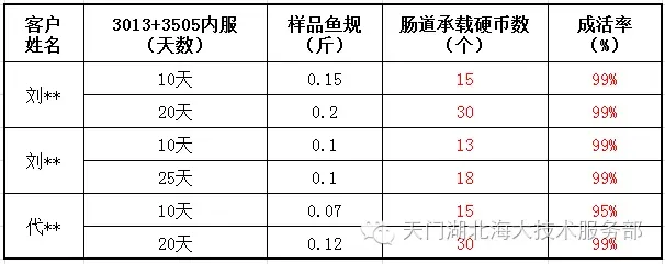 白露关斑点叉尾鮰鱼苗疾病预防