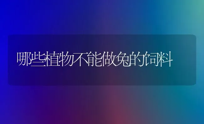 哪些植物不能做兔的饲料 | 动物养殖饲料
