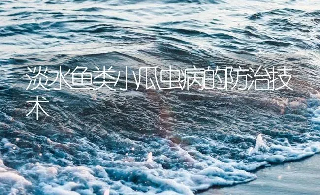 淡水鱼类小瓜虫病的防治技术 | 养殖病虫害防治