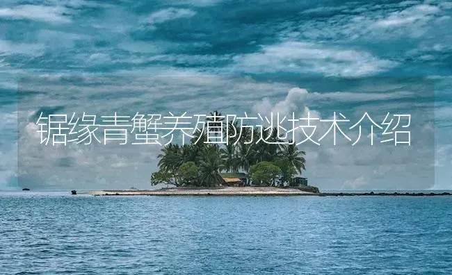 锯缘青蟹养殖防逃技术介绍 | 海水养殖