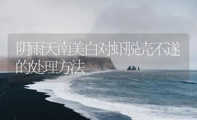 阴雨天南美白对虾脱壳不遂的处理方法 | 海水养殖