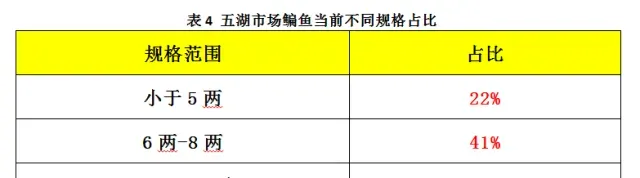 湖北仙桃五湖渔场鳊鱼大面积打样效果展示
