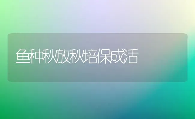 鱼种秋放秋培保成活 | 淡水养殖