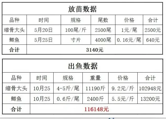 养殖“缩骨大头”亩纯赚万元以上，约不约？